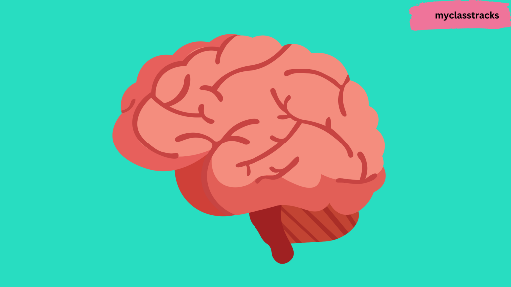 Right Brain Characteristics - Right Brain